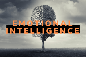 Day 3 – Emotional Intelligence (EQ)