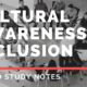 Day 6 – Cultural Awareness & Inclusion